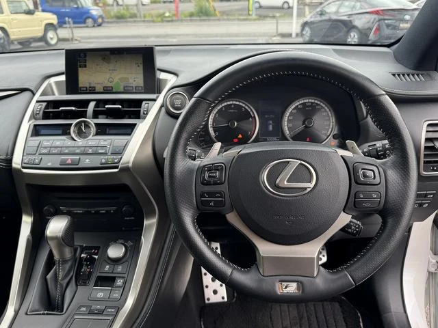 Lexus NX 12
