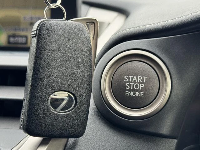 Lexus NX 15