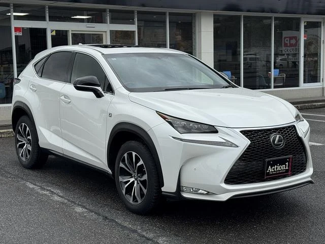 Lexus NX 56