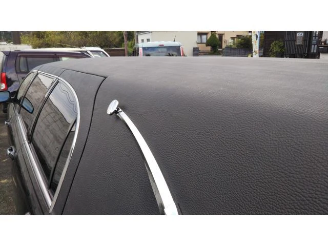 Lincoln LIMOUSINE 29
