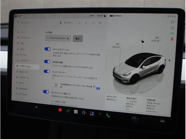 Tesla MODEL 46