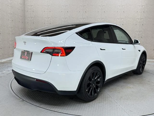 Tesla MODEL 2