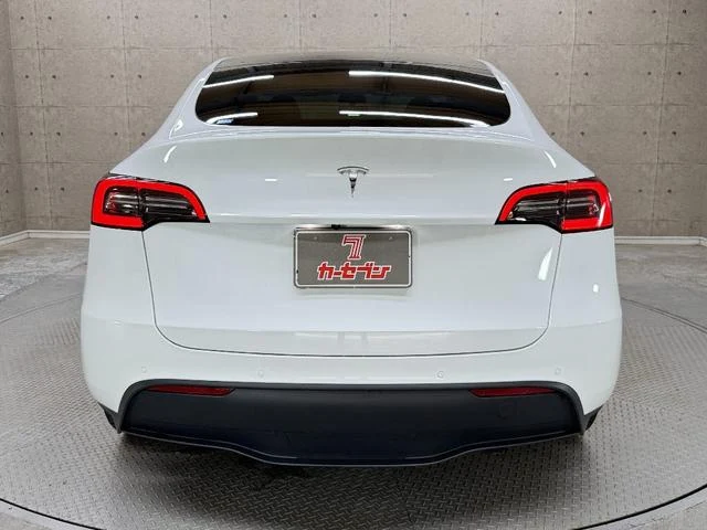 Tesla MODEL 14