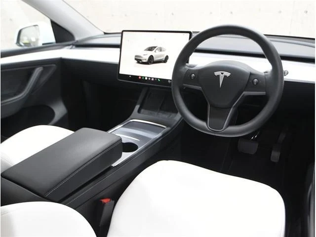 Tesla MODEL 24