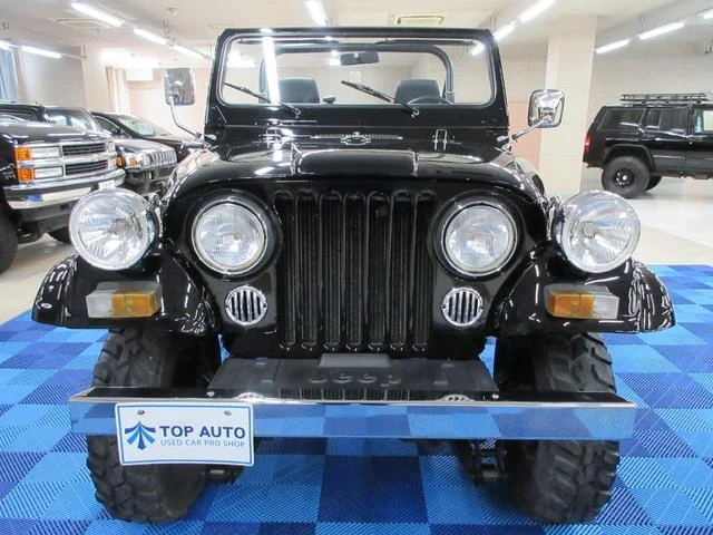 AMC JEEP JEEP 6