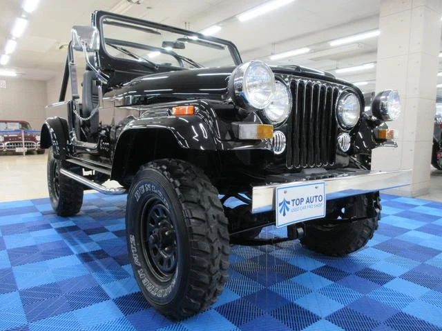 AMC JEEP JEEP 10