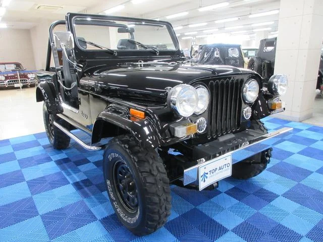 AMC JEEP JEEP 2