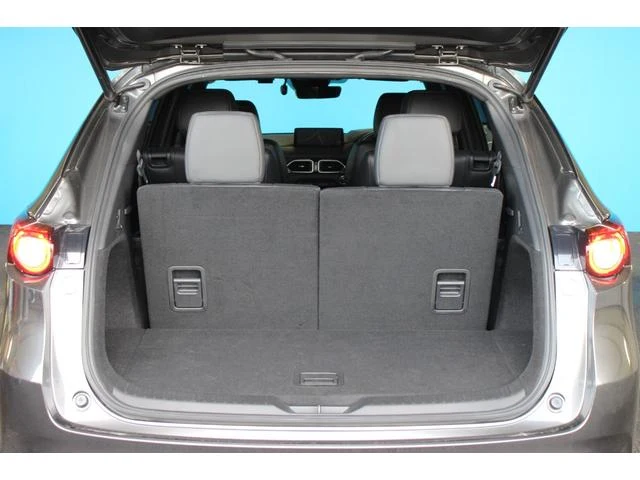 Mazda CX-8 39