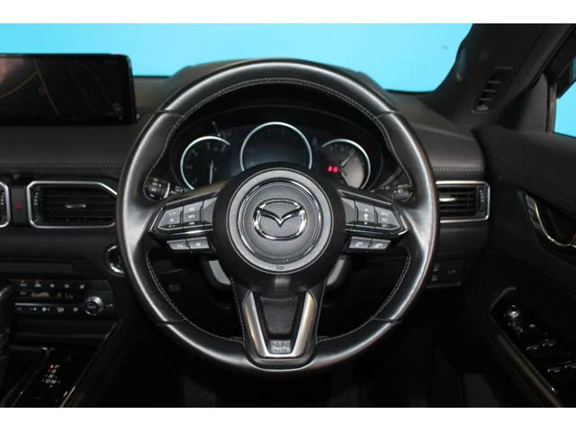 Mazda CX-8 10