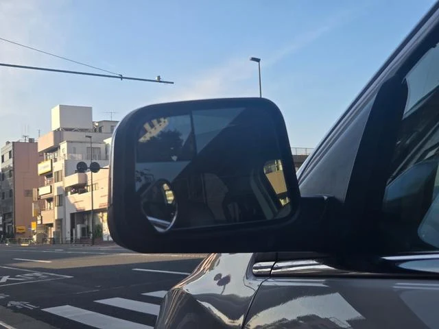 Lincoln MKX 21