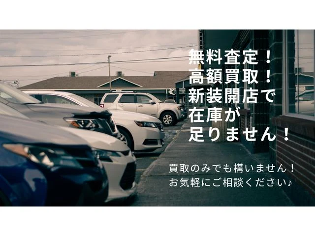 AMERICA LEXUS GS300 15
