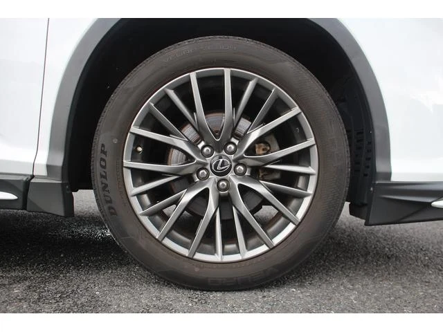 Lexus RX 17