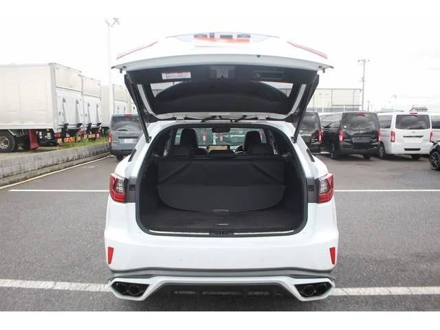 Lexus RX 66