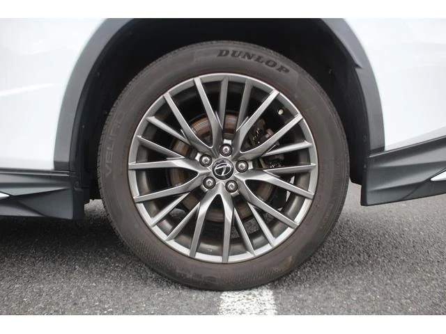 Lexus RX 19