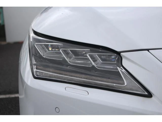 Lexus RX 24