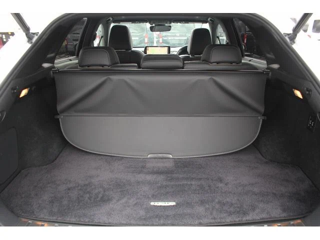 Lexus RX 67
