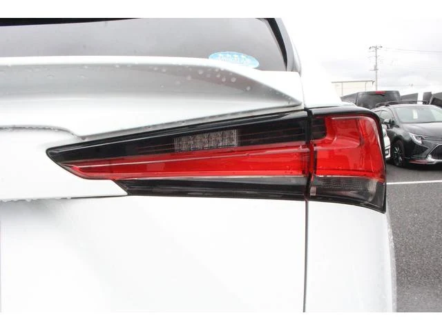 Lexus NX 28