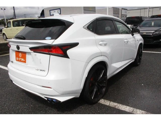 Lexus NX 14