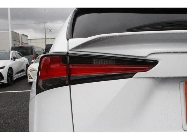 Lexus NX 27