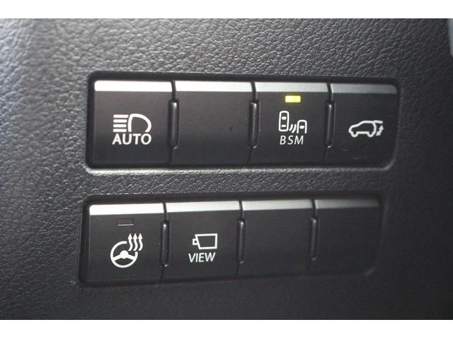 Lexus NX 44