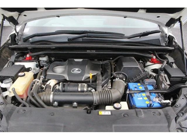 Lexus NX 72