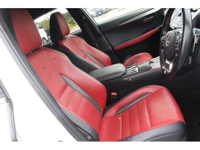 Lexus NX 31