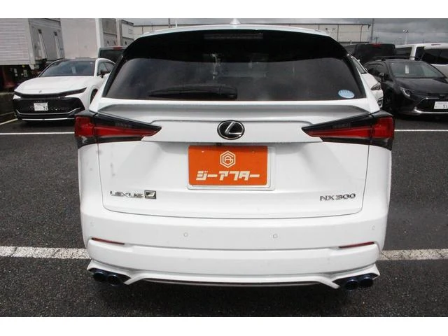 Lexus NX 13