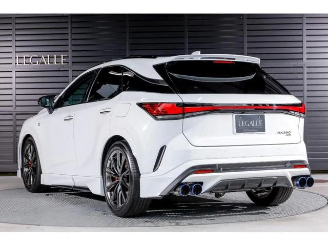 Lexus RX 29