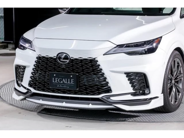 Lexus RX 11