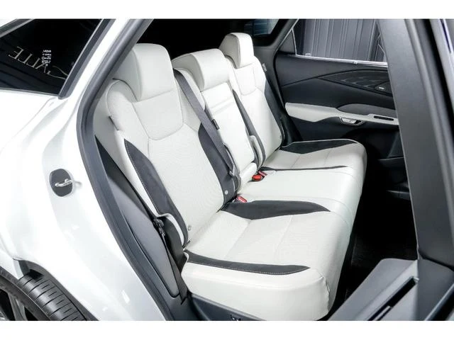 Lexus RX 17