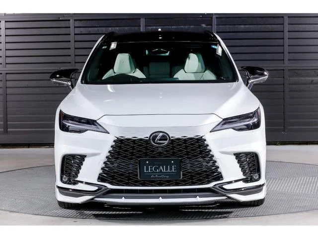 Lexus RX 24