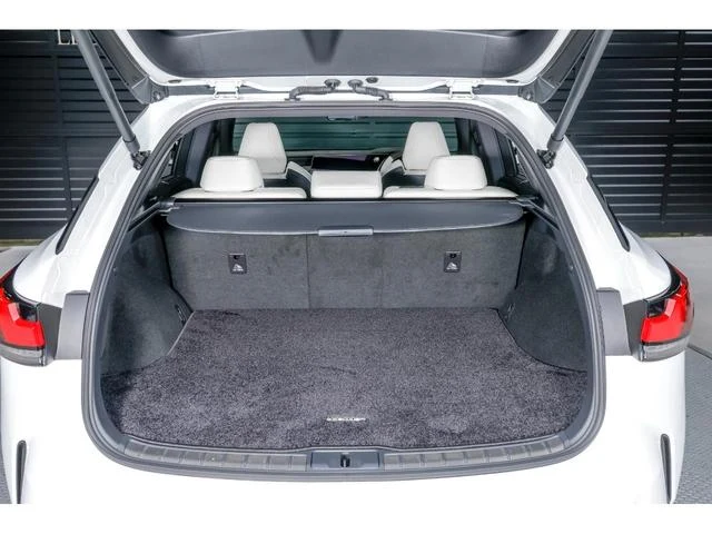 Lexus RX 57