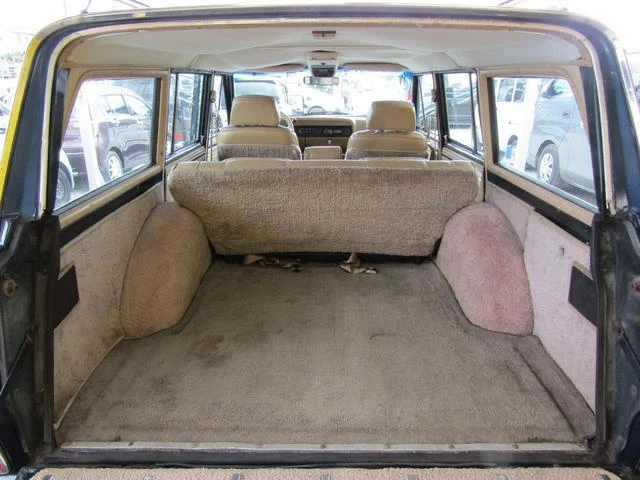 AMC JEEP JEEP 10