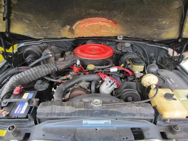 AMC JEEP JEEP 24