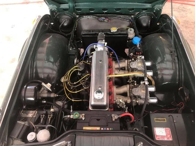 Triumph TR-4 46