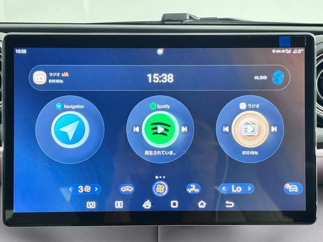 BYD DOLPHIN 17