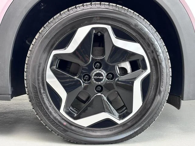 BYD DOLPHIN 12