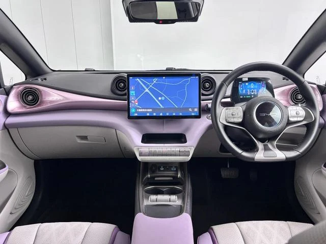 BYD DOLPHIN 20