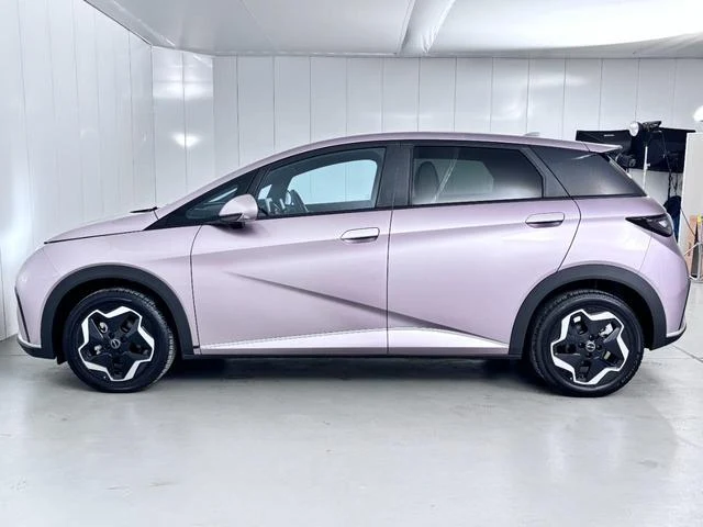 BYD DOLPHIN 6