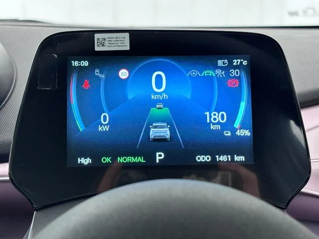BYD DOLPHIN 31