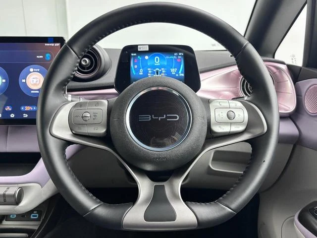 BYD DOLPHIN 19