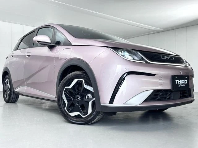 BYD DOLPHIN 10