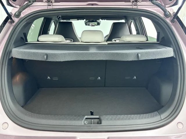 BYD DOLPHIN 25