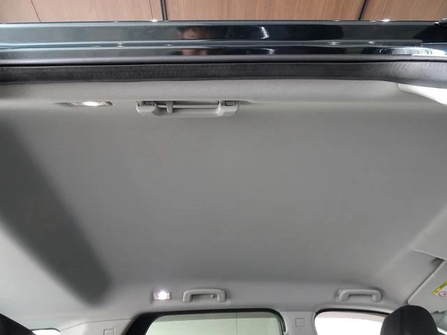 Land Rover DISCOVERY 22