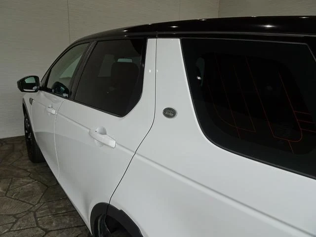 Land Rover DISCOVERY 54
