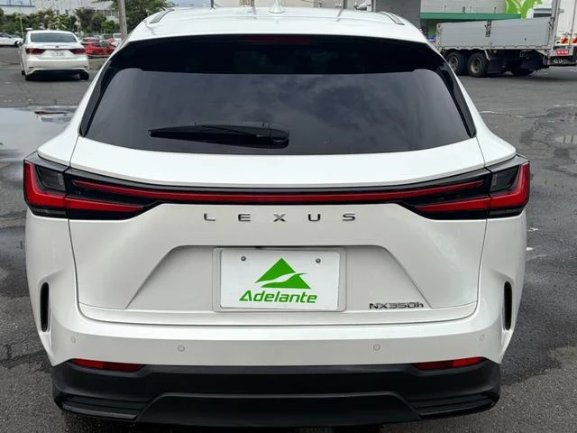 Lexus NX 64
