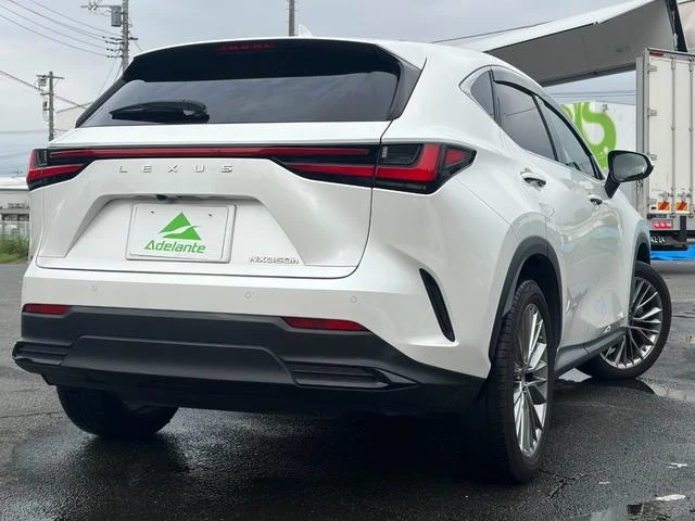 Lexus NX 59