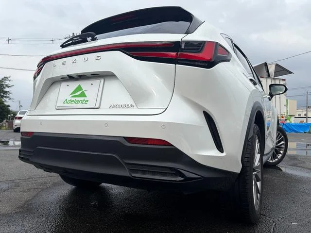 Lexus NX 60
