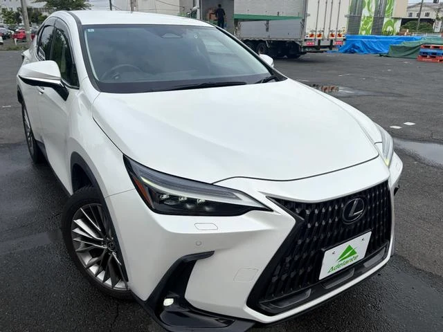 Lexus NX 58