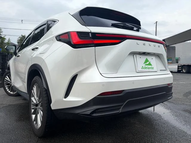 Lexus NX 66